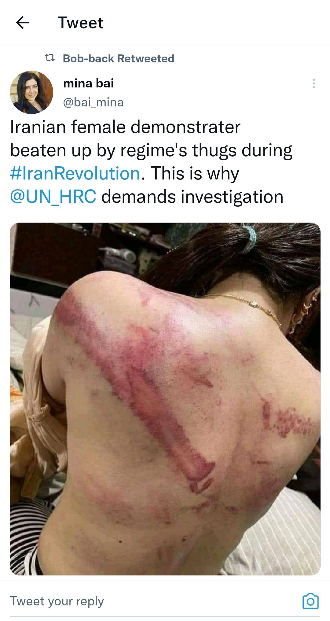 Iranian Girl Beaten Badly Fake Picture