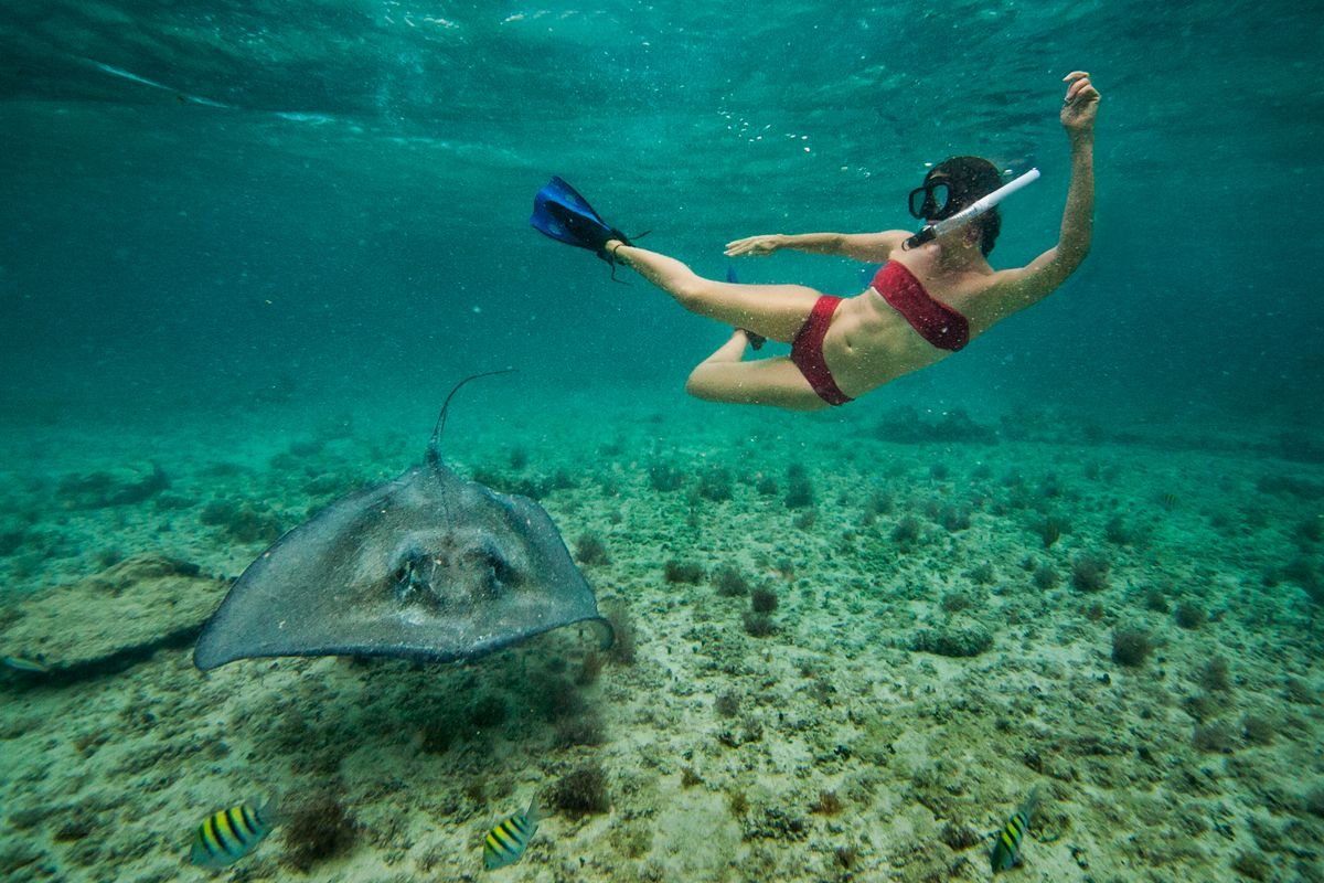 Snorkel with Stingrays