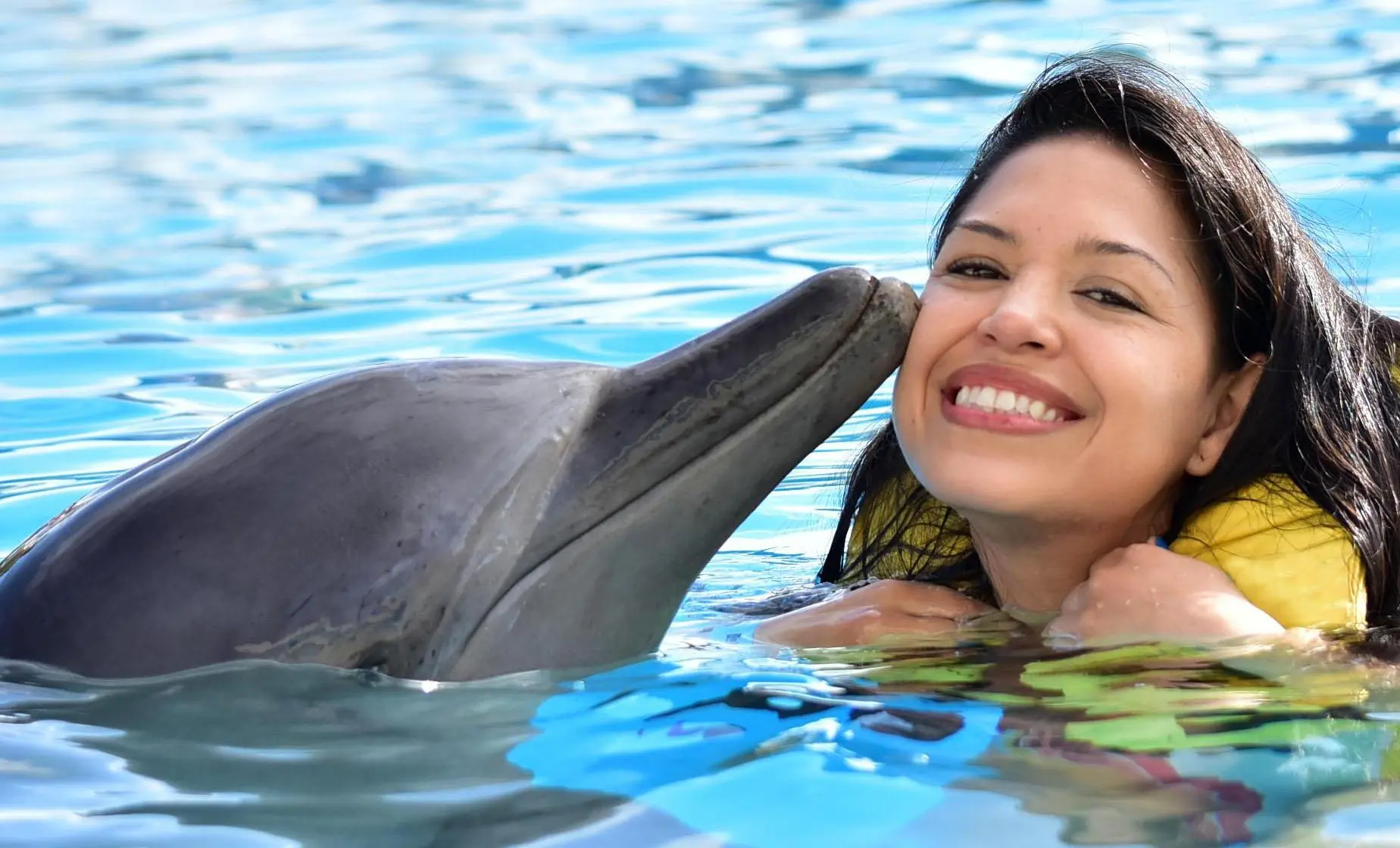 Swim With Dolphins in Jamaica