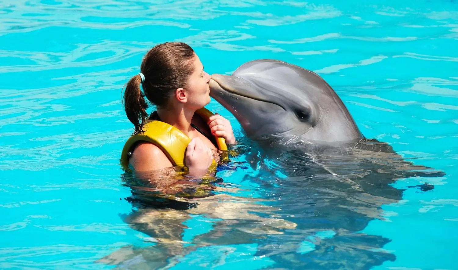 Dolphins-in-Grand-Cayman